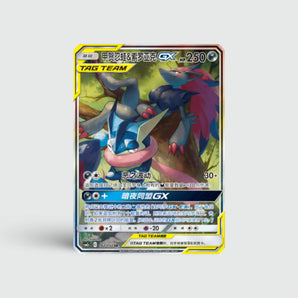 Greninja & Zoroark GX