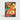 Charizard V