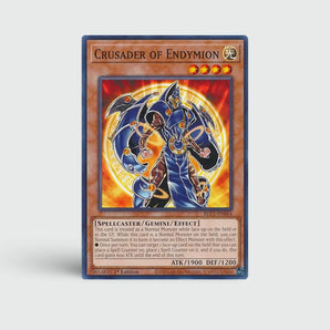 Crusader of Endymion