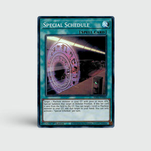 Special Schedule