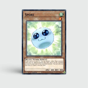 Spore