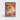 Team Rocket's Moltres ex