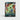 Tyranitar V