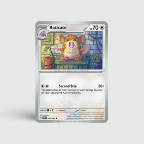 Raticate