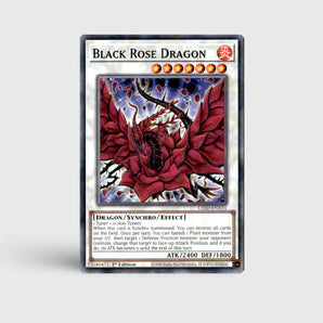 Black Rose Dragon