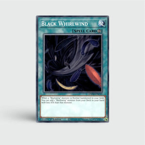 Black Whirlwind
