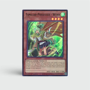 Familiar-Possessed - Wynn