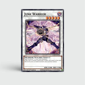 Junk Warrior