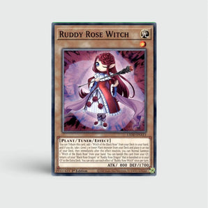 Ruddy Rose Witch