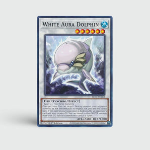 White Aura Dolphin